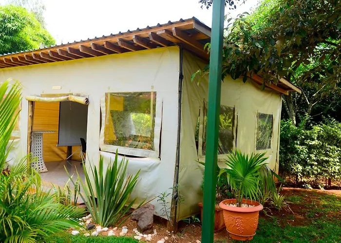 Severine Cottages And Lounge Ltd